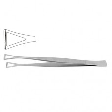 Collin-Duval Intestinal Forceps Stainless Steel, 20 cm - 8" Width 18.0 mm